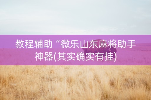 教程辅助“微乐山东麻将助手神器(其实确实有挂)
