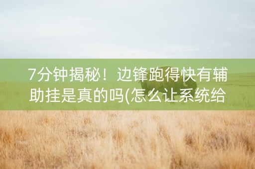 7分钟揭秘！边锋跑得快有辅助挂是真的吗(怎么让系统给发好牌)