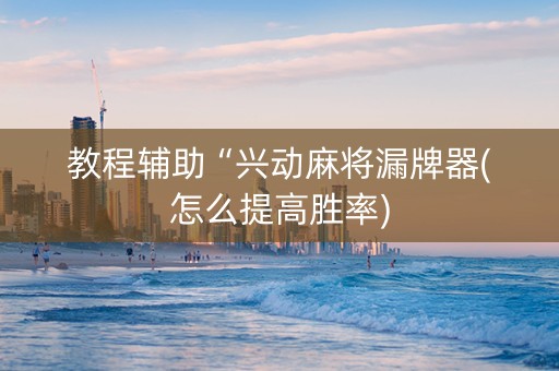 教程辅助“兴动麻将漏牌器(怎么提高胜率)