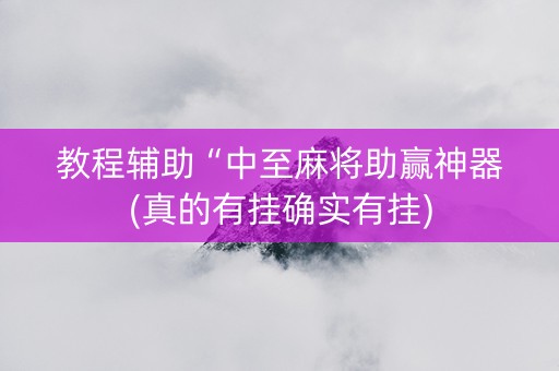 教程辅助“中至麻将助赢神器(真的有挂确实有挂)