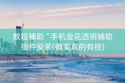 教程辅助“手机金花透明辅助插件安装(确实真的有挂)