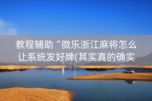 教程辅助“微乐浙江麻将怎么让系统发好牌(其实真的确实有挂)