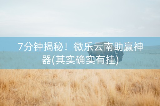 7分钟揭秘！微乐云南助赢神器(其实确实有挂)
