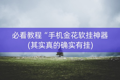 必看教程“手机金花软挂神器(其实真的确实有挂)