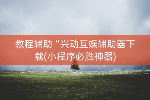 教程辅助“兴动互娱辅助器下载(小程序必胜神器)