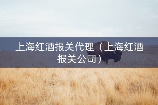 上海红酒报关代理（上海红酒报关公司）
