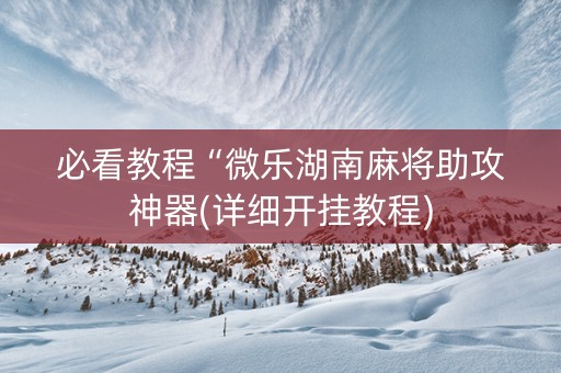 必看教程“微乐湖南麻将助攻神器(详细开挂教程)