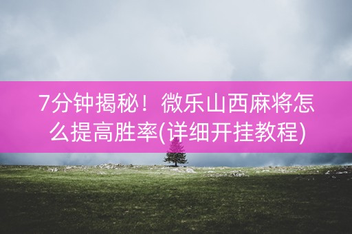 7分钟揭秘！微乐山西麻将怎么提高胜率(详细开挂教程)