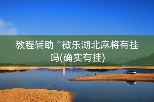 教程辅助“微乐湖北麻将有挂吗(确实有挂)