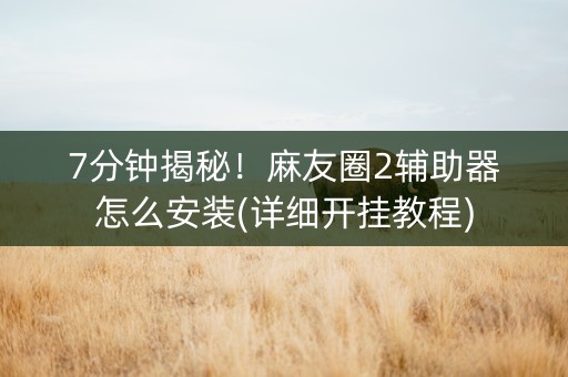 7分钟揭秘！麻友圈2辅助器怎么安装(详细开挂教程)