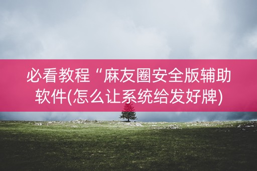 必看教程“麻友圈安全版辅助软件(怎么让系统给发好牌)
