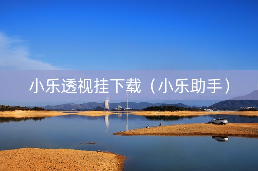 小乐透视挂下载（小乐助手）