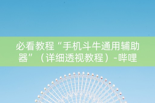 必看教程“手机斗牛通用辅助器”（详细透视教程）-哔哩哔哩