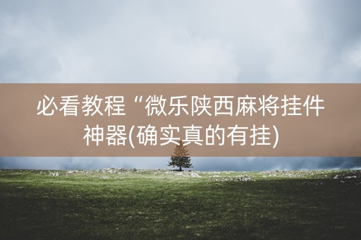 必看教程“微乐陕西麻将挂件神器(确实真的有挂)