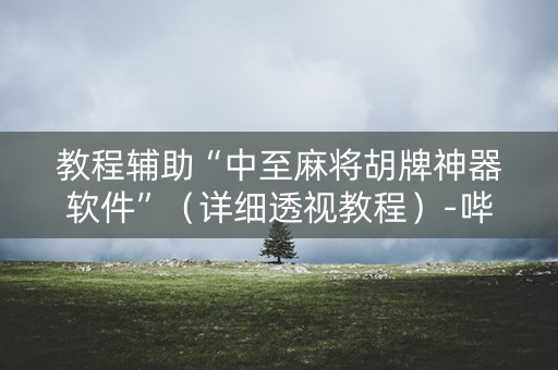 教程辅助“中至麻将胡牌神器软件”（详细透视教程）-哔哩哔哩