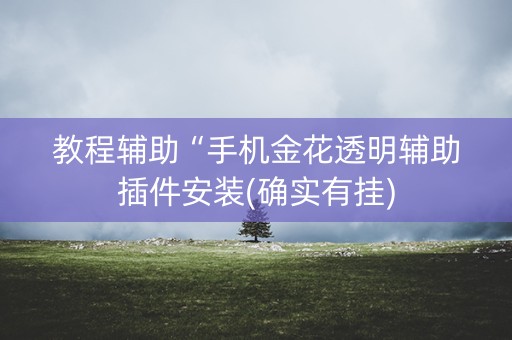 教程辅助“手机金花透明辅助插件安装(确实有挂)