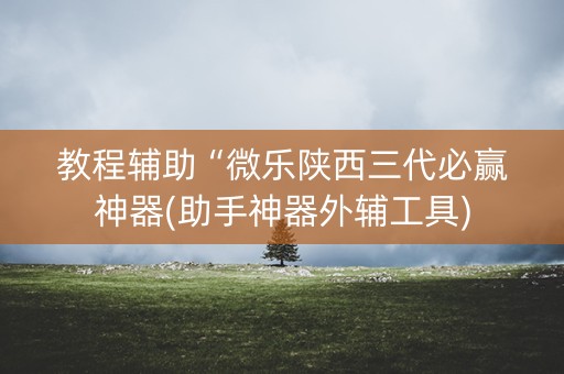 教程辅助“微乐陕西三代必赢神器(助手神器外辅工具)