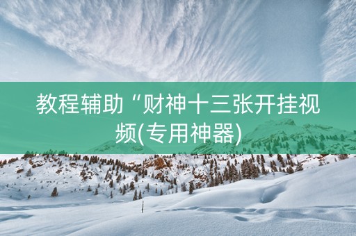 教程辅助“财神十三张开挂视频(专用神器)