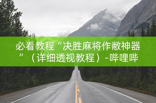 必看教程“决胜麻将作敝神器”（详细透视教程）-哔哩哔哩