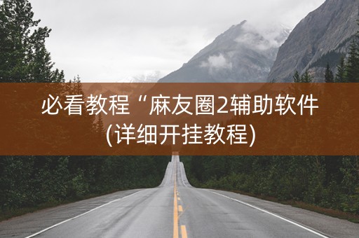 必看教程“麻友圈2辅助软件(详细开挂教程)