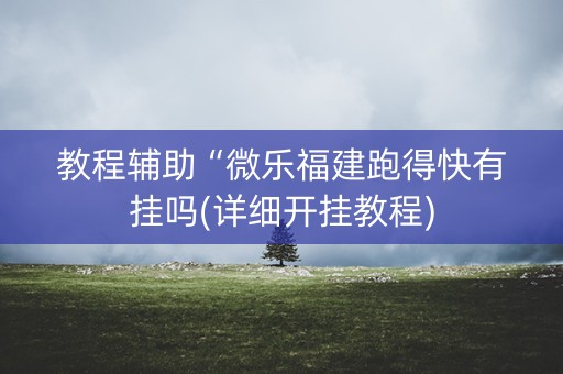 教程辅助“微乐福建跑得快有挂吗(详细开挂教程)