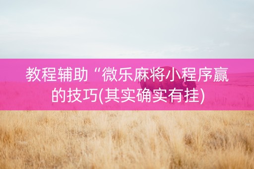 教程辅助“微乐麻将小程序赢的技巧(其实确实有挂)
