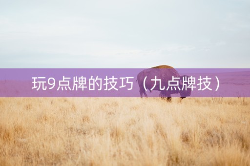 玩9点牌的技巧（九点牌技）