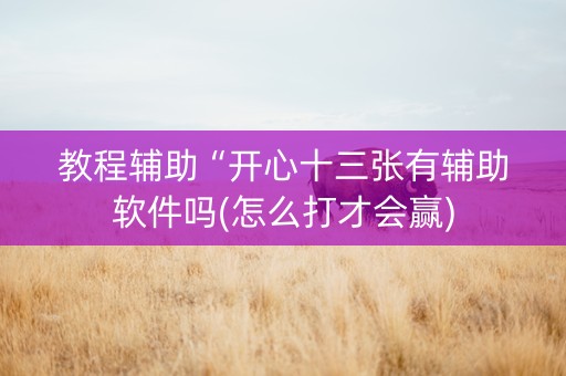 教程辅助“开心十三张有辅助软件吗(怎么打才会赢)