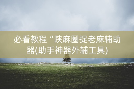 必看教程“陕麻圈捉老麻辅助器(助手神器外辅工具)