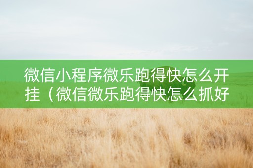 微信小程序微乐跑得快怎么开挂（微信微乐跑得快怎么抓好牌）