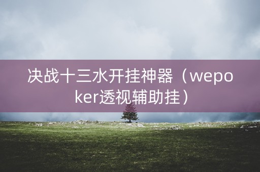 决战十三水开挂神器（wepoker透视辅助挂）