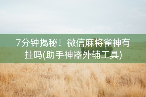 7分钟揭秘！微信麻将雀神有挂吗(助手神器外辅工具)
