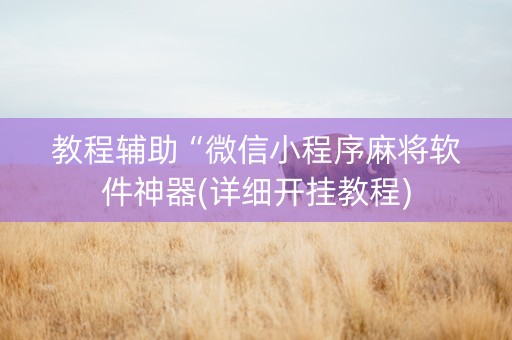 教程辅助“微信小程序麻将软件神器(详细开挂教程)