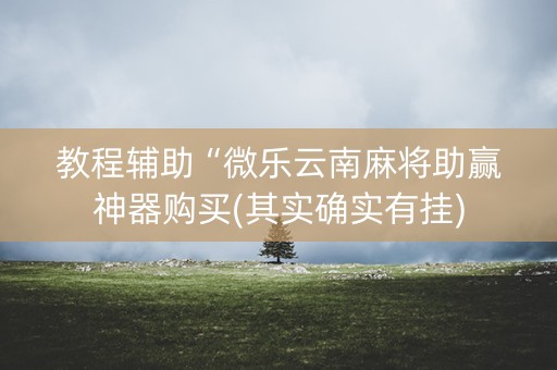 教程辅助“微乐云南麻将助赢神器购买(其实确实有挂)