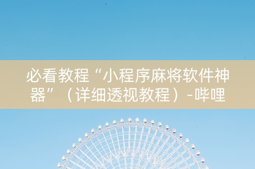 必看教程“小程序麻将软件神器”（详细透视教程）-哔哩哔哩