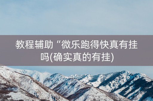 教程辅助“微乐跑得快真有挂吗(确实真的有挂)