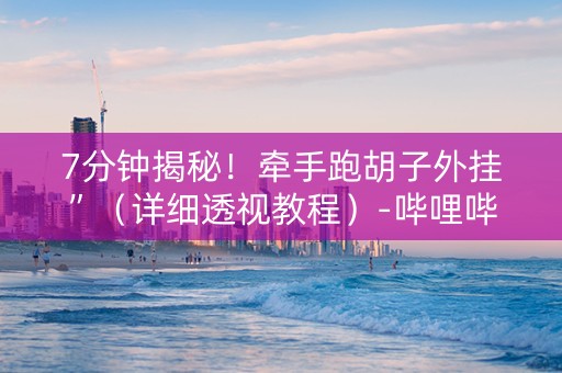 7分钟揭秘！牵手跑胡子外挂”（详细透视教程）-哔哩哔哩