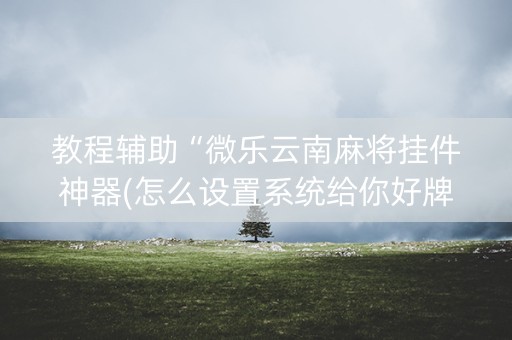 教程辅助“微乐云南麻将挂件神器(怎么设置系统给你好牌)