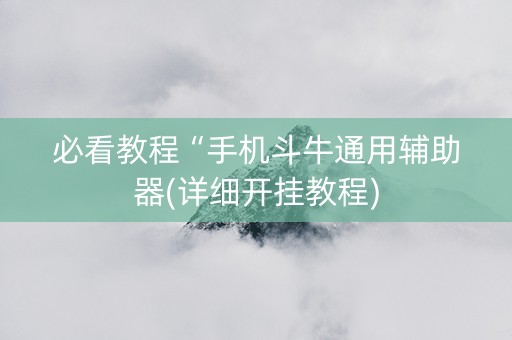 必看教程“手机斗牛通用辅助器(详细开挂教程)