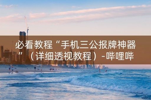 必看教程“手机三公报牌神器”（详细透视教程）-哔哩哔哩
