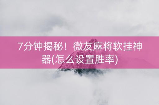 7分钟揭秘！微友麻将软挂神器(怎么设置胜率)