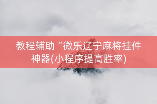 教程辅助“微乐辽宁麻将挂件神器(小程序提高胜率)