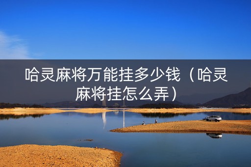 哈灵麻将万能挂多少钱（哈灵麻将挂怎么弄）