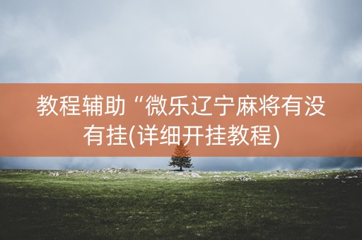 教程辅助“微乐辽宁麻将有没有挂(详细开挂教程)