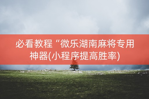 必看教程“微乐湖南麻将专用神器(小程序提高胜率)