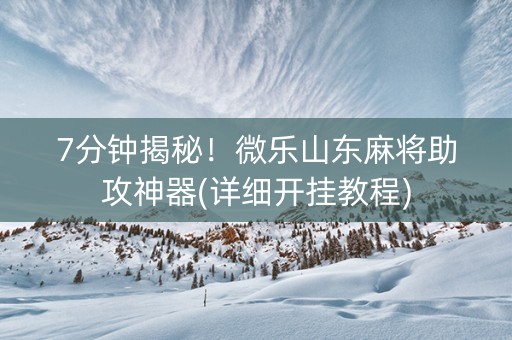 7分钟揭秘！微乐山东麻将助攻神器(详细开挂教程)