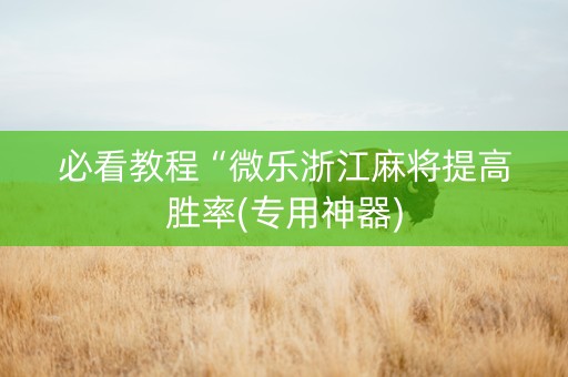 必看教程“微乐浙江麻将提高胜率(专用神器)