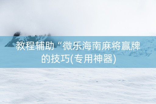 教程辅助“微乐海南麻将赢牌的技巧(专用神器)