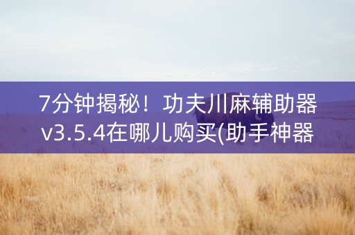 7分钟揭秘！功夫川麻辅助器v3.5.4在哪儿购买(助手神器外辅工具)