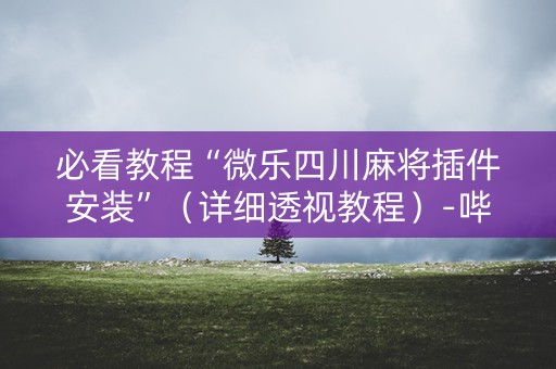 必看教程“微乐四川麻将插件安装”（详细透视教程）-哔哩哔哩